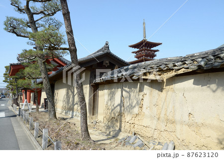 薬師寺　外壁から西塔遠望　奈良市西ノ京町 87623120