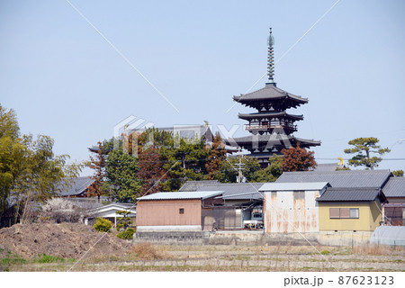 薬師寺　東塔遠望　奈良市西ノ京町 87623123