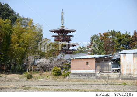 薬師寺　西塔遠望　奈良市西ノ京町 87623185