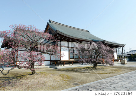 薬師寺　慈恩殿　奈良市西ノ京町 87623264