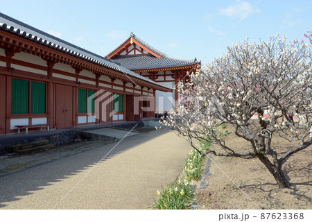 薬師寺 東僧坊と食堂 奈良市西ノ京町 薬師寺 東僧坊と食堂 奈良市西ノ京町 87623368