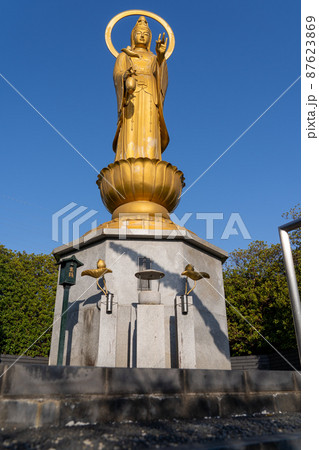 大寳山 法雲寺（法雲禅寺） 87623869
