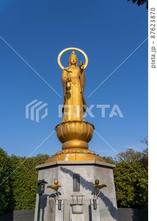 大寳山 法雲寺（法雲禅寺） 87623870