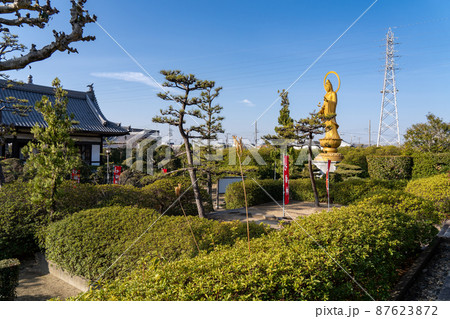 大寳山 法雲寺（法雲禅寺） 87623872