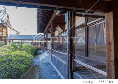 大寳山 法雲寺（法雲禅寺） 87623891