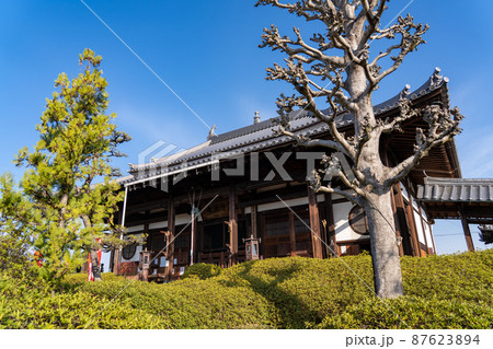 大寳山 法雲寺（法雲禅寺） 87623894