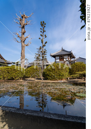 大寳山 法雲寺(法雲禅寺) 大寳山 法雲寺(法雲禅寺) 87623927