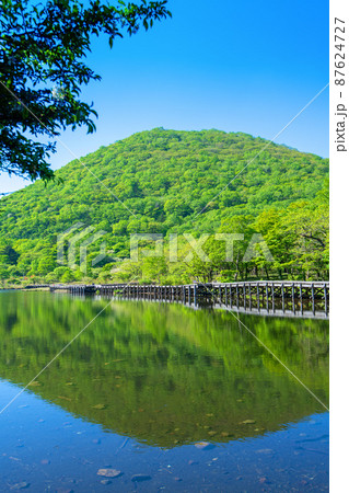 赤城公園　覚満淵　水鏡　遊歩道　木道　初夏の風景　　　 87624727