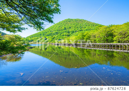 赤城公園　覚満淵　水鏡　遊歩道　木道　初夏の風景　　　 87624728
