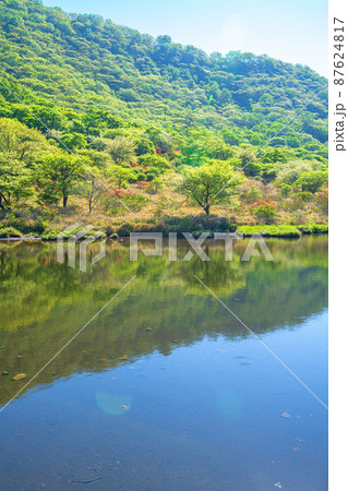 赤城公園 覚満淵 水鏡 遊歩道からの眺め 初夏の風景 赤城公園 覚満淵 水鏡 遊歩道からの眺め 初夏の風景 87624817