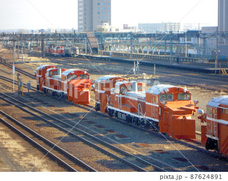 北海道の力持ち！！ 87624891