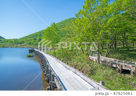 赤城公園 覚満淵 遊歩道 木道 初夏の風景 赤城公園 覚満淵 遊歩道 木道 初夏の風景 87625061