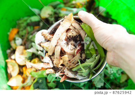 野菜の皮をコンポスターに棄てる 87625942