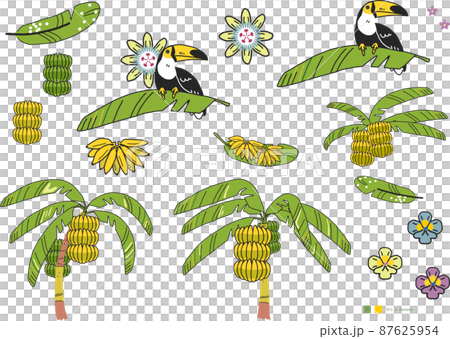 熱帶水果系列香蕉巨嘴鳥套裝插圖素材 87625954