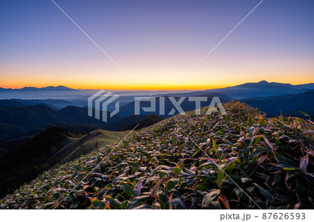 信州ビーナスライン・三峰山の夜明け 87626593