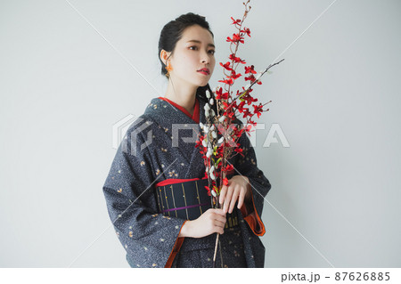 着物 黒の小紋 着物 黒の小紋 87626885