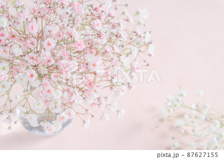 ピンクと白のカスミソウのアレンジメント ピンクと白のカスミソウのアレンジメント 87627155