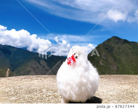 【ペルー】マチュピチュ遺跡:美しい山並みと青空を背景に記念撮影をする白いアルパカ人形 【ペルー】マチュピチュ遺跡:美しい山並みと青空を背景に記念撮影をする白いアルパカ人形 87627344