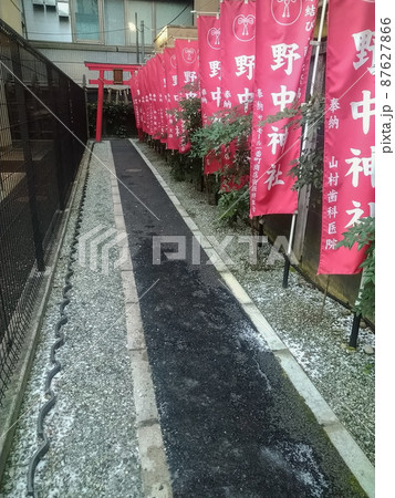 野中神社の参道(宮城県仙台市) 野中神社の参道(宮城県仙台市) 87627866