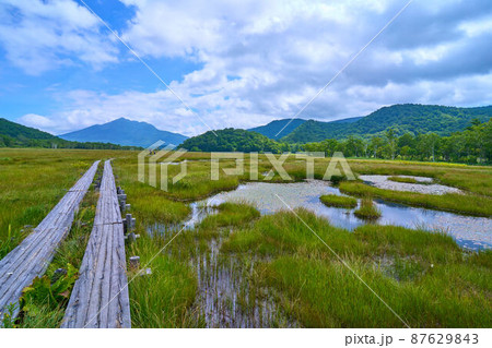 夏の尾瀬 上田代付近から燧ヶ岳、牛首方面眺望 87629843