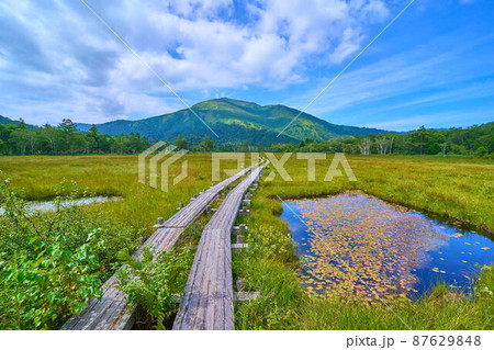 夏の尾瀬 上田代付近から至仏山方面眺望 87629848