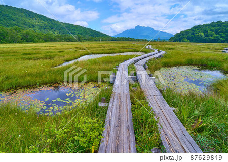夏の尾瀬 上田代付近から至仏山方面眺望 87629849
