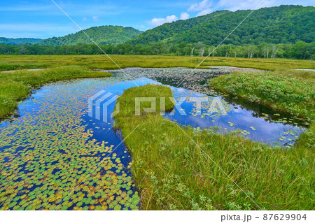 夏の尾瀬 上田代付近から北側の八海山方面眺望 87629904