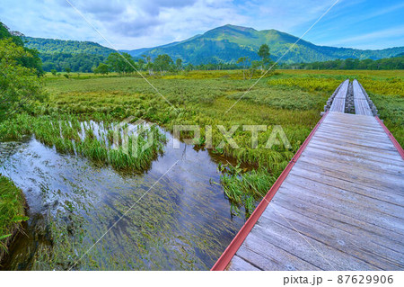 夏の尾瀬 上田代付近の上の大堀川橋(かみのおおほりがわばし)から至仏山方面眺望 87629906