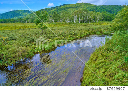 夏の尾瀬 上田代付近の上の大堀川橋から北側の八海山方面眺望 87629907