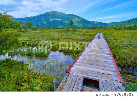 夏の尾瀬 上田代付近の上の大堀川橋(かみのおおほりがわばし)から至仏山方面眺望 夏の尾瀬 上田代付近の上の大堀川橋(かみのおおほりがわばし)から至仏山方面眺望 87629908