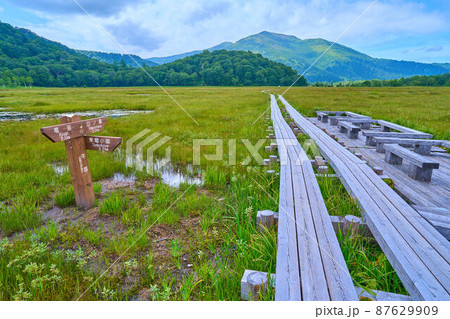 夏の尾瀬 上田代の牛首分岐案内(竜宮,山ノ鼻,東電小屋)から至仏山方面眺望 87629909