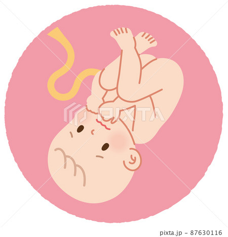 お腹の中で不安そうな赤ちゃん 胎児 お腹の中で不安そうな赤ちゃん 胎児 87630116