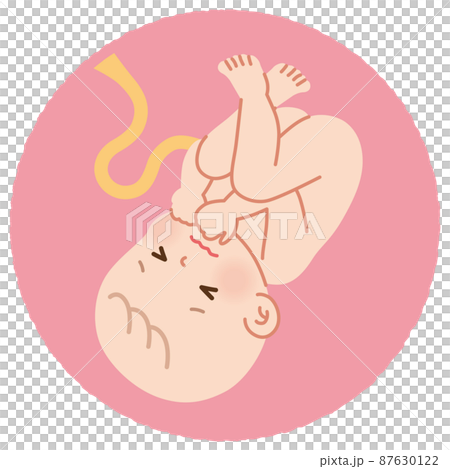 肚子裡似乎有疼痛感的嬰兒胎兒 87630122