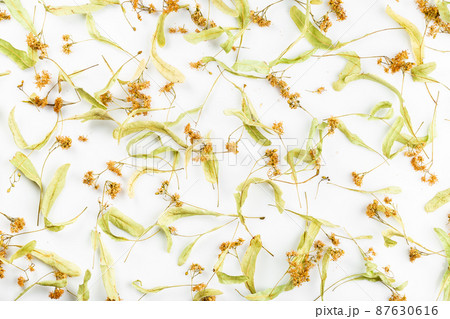 Dried linden tea flowers on the white background Dried linden tea flowers on the white background 87630616