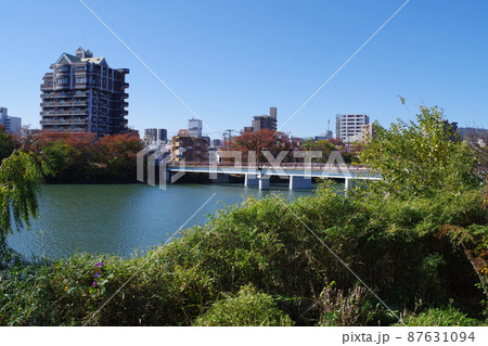 広島京橋川河畔の景色 広島京橋川河畔の景色 87631094