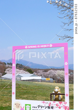 青空の春景色、伊香保グリーン牧場フォトスポット 87632503