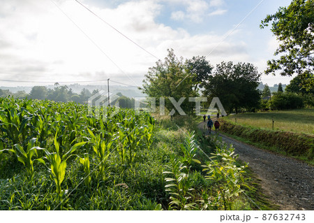 カミーノ 巡礼の道 カミーノ 巡礼の道 87632743