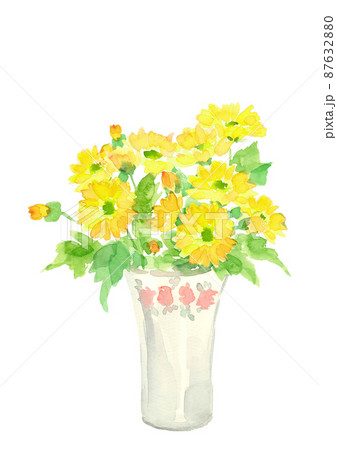陶器の花瓶に生けた黄色のヒメキンセンカ【手描き水彩画】花言葉 「慈愛」白バック 透過背景  87632880