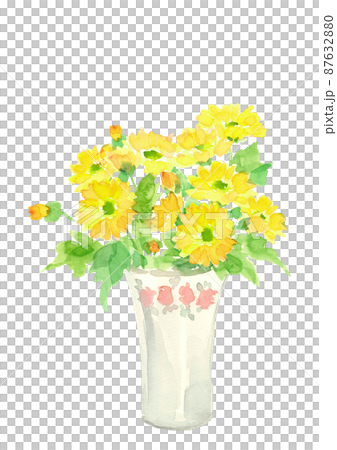 陶器の花瓶に生けた黄色のヒメキンセンカ【手描き水彩画】花言葉 「慈愛」白バック 透過背景  87632880