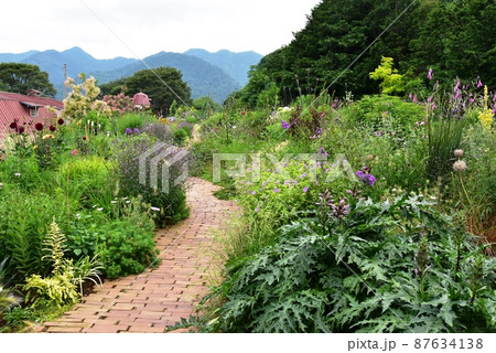 愛川町　服部牧場ファームガーデンの花々と新緑と散策路 87634138
