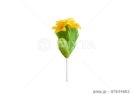 Handmade cactus isolated on white background 87634862