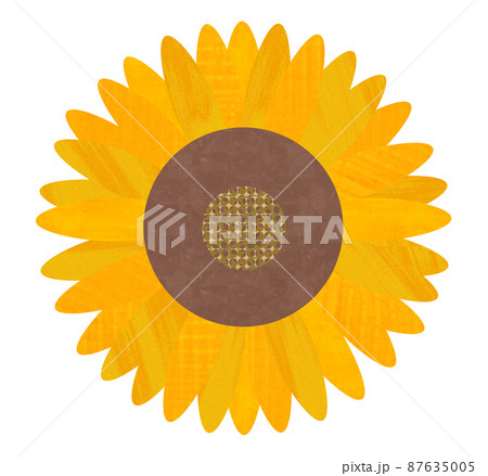 Sunflower Flower - Stock Illustration [87635005] - PIXTA