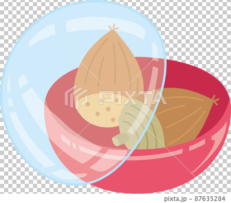 acorn, vector, vectors 87635284
