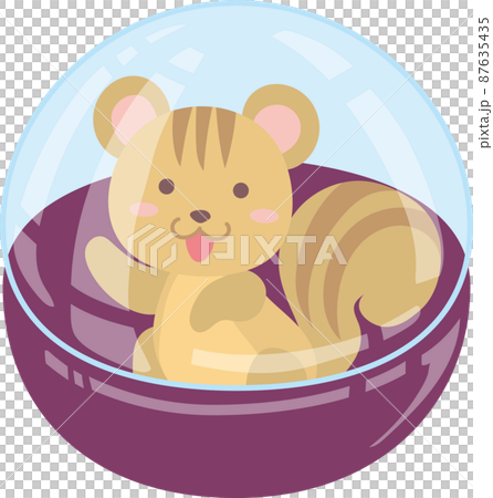 扭蛋膠囊裡的松鼠 87635435