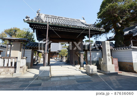 醤油発祥地・湯浅　深専寺　山門　和歌山県湯浅町 87636060