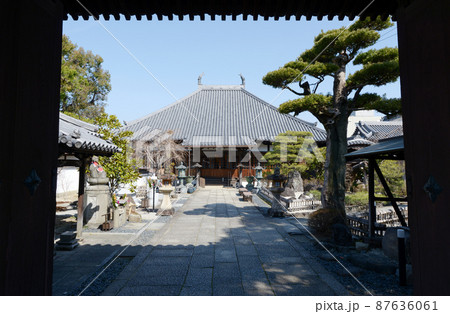 醤油発祥地・湯浅 深専寺 山門から本堂を望む 和歌山県湯浅町 醤油発祥地・湯浅 深専寺 山門から本堂を望む 和歌山県湯浅町 87636061