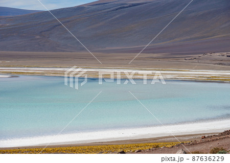 Laguna Tuyajto Laguna Tuyajto 87636229