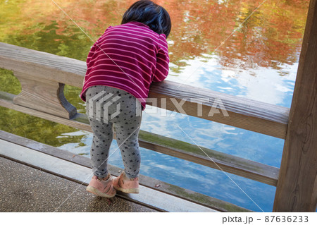 日本庭園　池を覗き込む女の子 87636233