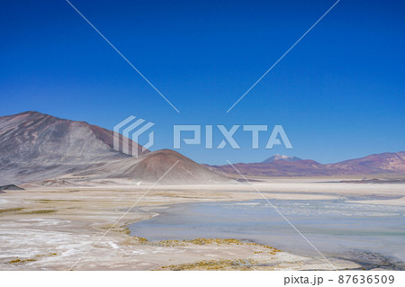 Laguna Salar de Talar 87636509