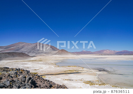 Laguna Salar de Talar Laguna Salar de Talar 87636511